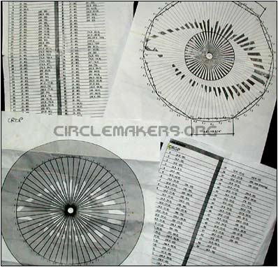 Big Brother Diagrams